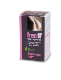 VITAL FACTORS BREAST UP 90 CAPSULE 