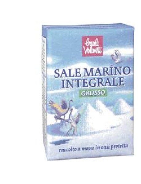 SALE MARINO INTEG GROS 1KG BAULE