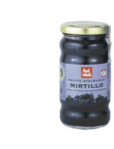 FRUTTA SPALMAB MIRTILLO 280G