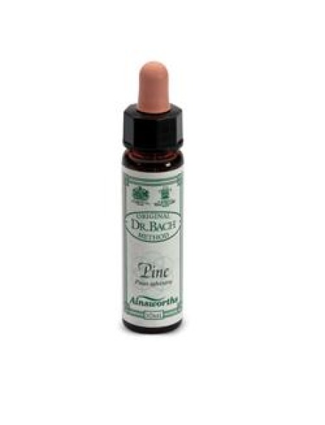 PINE F BACH 10ML (I3) AINSWORTHS