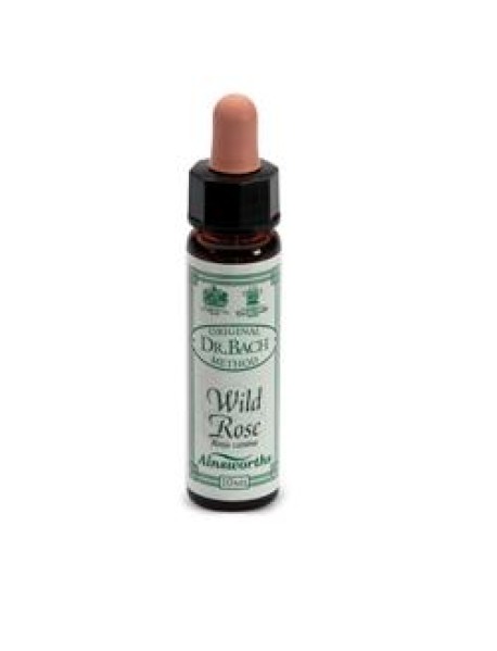 AINSWORTHS WILD ROSE 10ML