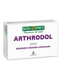 BODY SPRING ARTHRODOL 60 COMPRESSE
