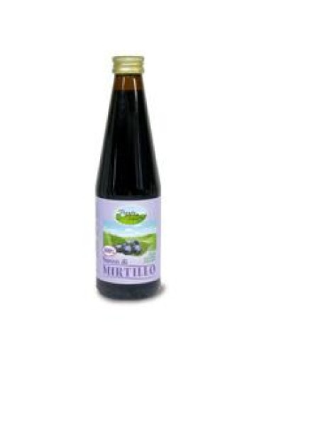 MIRTILLO SUCCO 330ML FDR