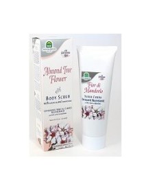 FIORDIMANDORLO SCRUB CORPO