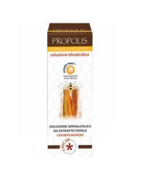 PROPOLIS EFIAL SOLUZIONE IDROALCOLICA 30% 30ML GRICAR