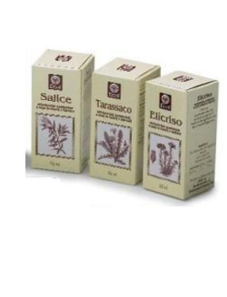 CARCIOFO ESTR ANALC 50ML ECOL