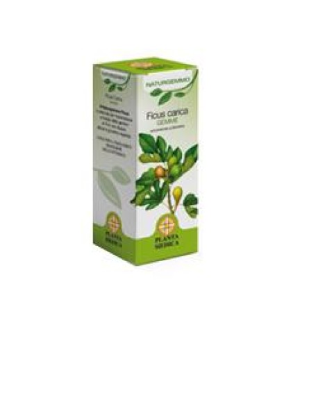 NATURGEMMO FICUS CARICA MG50ML