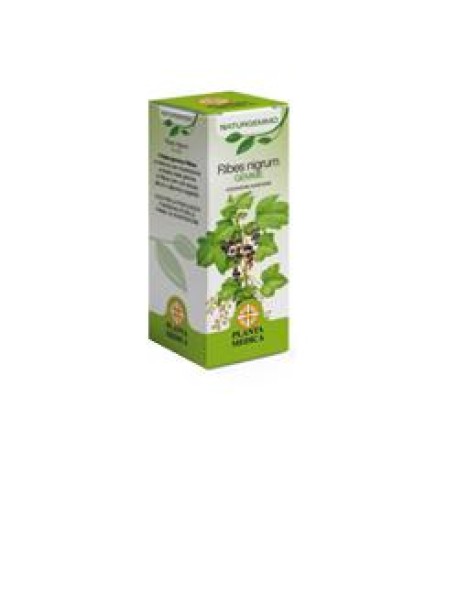 NATURGEMMO RIBES NIGRUM 50MLMG