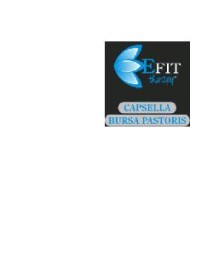 CAPSELLA BURSA PA ESTR FL 30ML