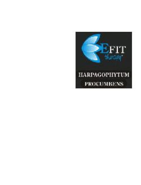 HARPAGOPHYTUM PROC ESTR FL30ML