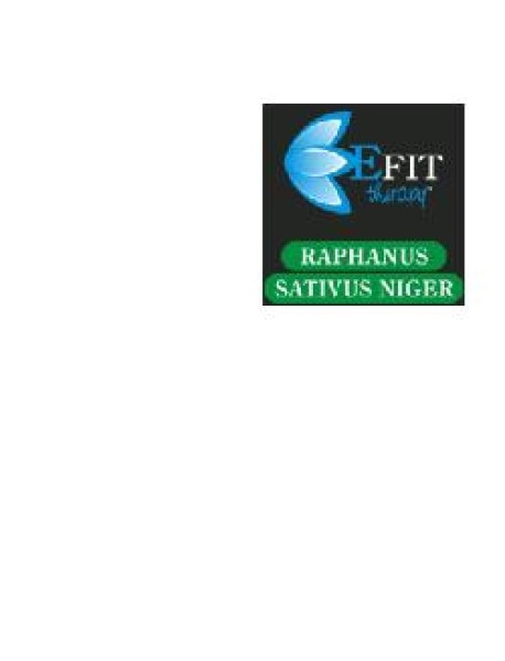 RAPHANUS SAT NIG ESTR FL 30ML