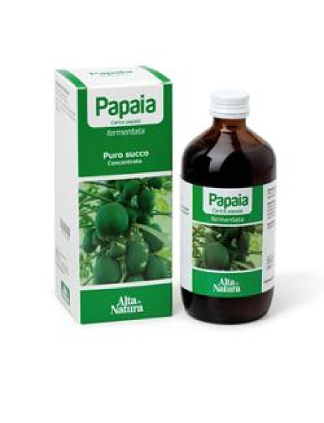 PAPAIA FERMENTATA SUCCO 250ML