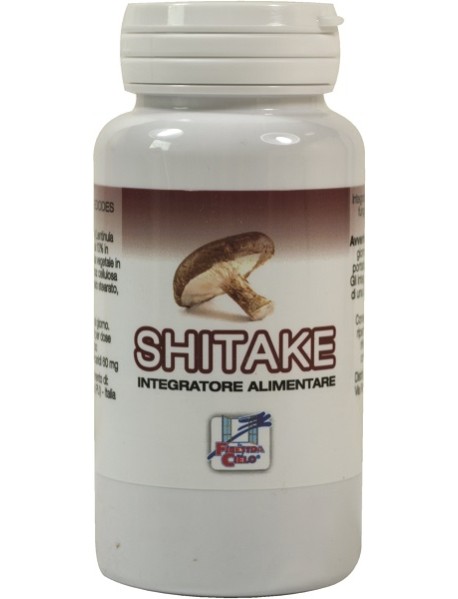 SHIITAKE EXTRA 40TAV