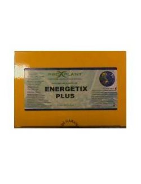 ENERGETIX PLUS 12FLL 20GR OASIX