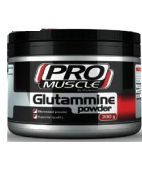 PRO MUSCLE GLUTAMMINE 300GR(PM12