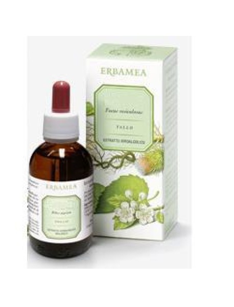 ERBAMEA GINKGO BILOBA FOGLIE ESTRATTO IDROALCOLICO 50ML