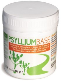 AVD REFORM PSYLLIUM BASE POLVERE 120G