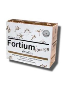 FORTIUM-ENERGY 20 BS
