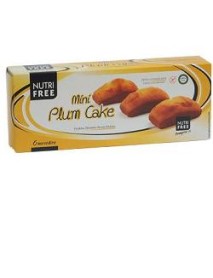 NUTRIFREE MINI PLUM CAKE 210G