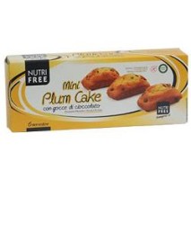 NUTRIFREE MINI PL CAKE GT C210