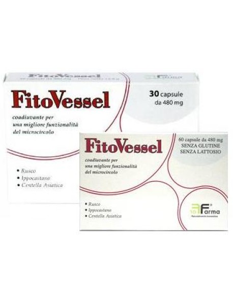 FITOVESSEL 30GELOCPS 480MG