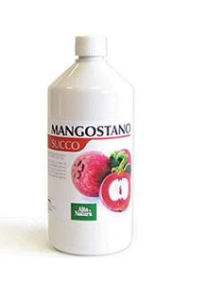 MANGOSTANO SUCCO 1L INALME