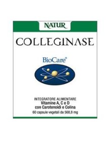 COLLEGINASE 60CPS VEG