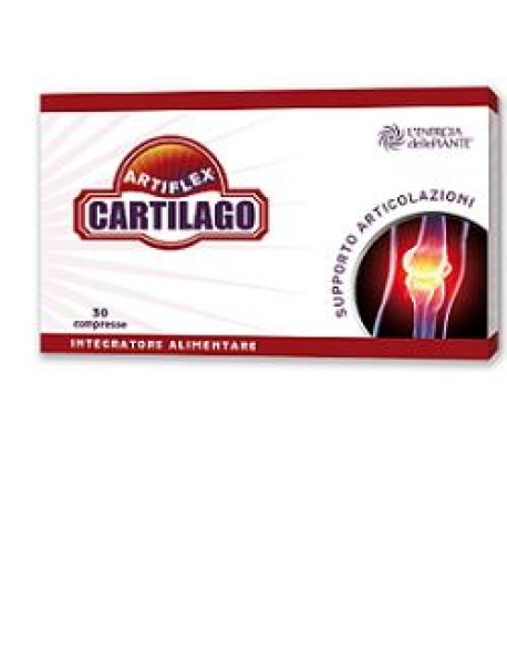 ARTIFLEX CARTILAGO 30CPR EDP