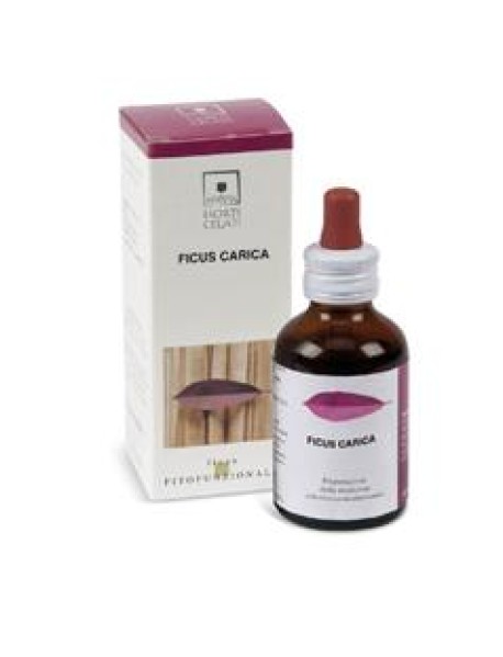 FICUS CARICA 50ML STV