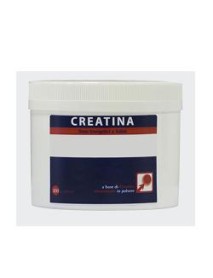 CREATINA POLVERE 300G