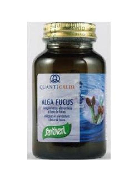 ALGA FUCUS 113CPR SANTIVERI