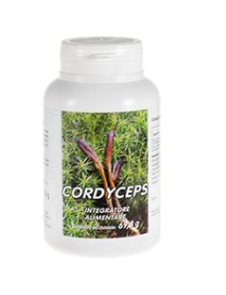 CORDYCEPS 100CPS ATENA