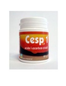 CESP 1 60G 