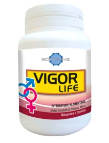 VIGOR LIFE UOMO/DONNA 40CPS