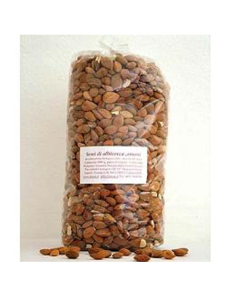 SEMI ALBICOCCA(NOCCIOLI)1000GR C