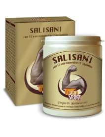 DR.GIORGINI SALISANI VITAMINSPORT POLVERE 360G 