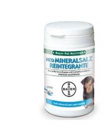 NEOMINERALSALZ 300GR REINT