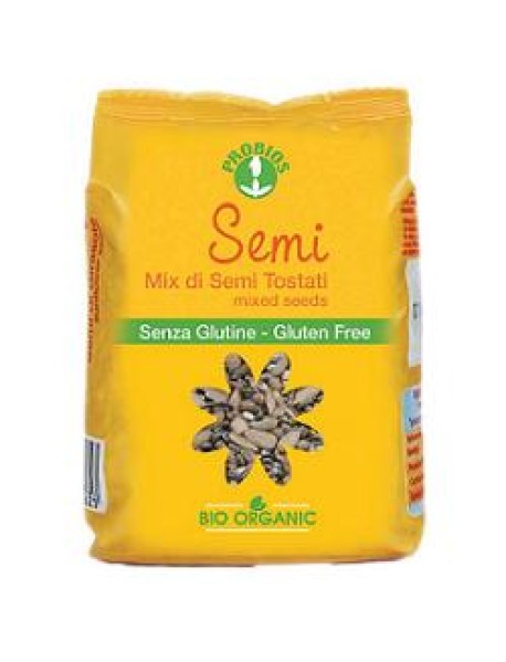 MIX DI SEMI TOSTATI 250GR (SOLMT