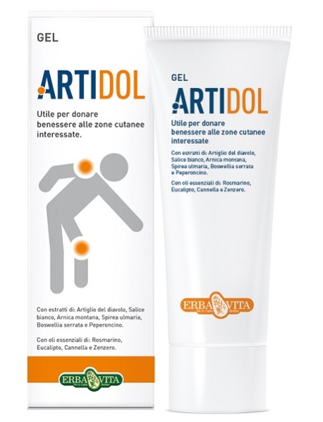 ERBA VITA ARTIDOL GEL 100ML 