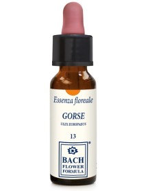 GORSE ORIGINAL 10ML GTT EBV