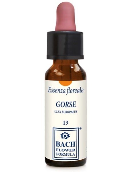 GORSE ORIGINAL 10ML GTT EBV