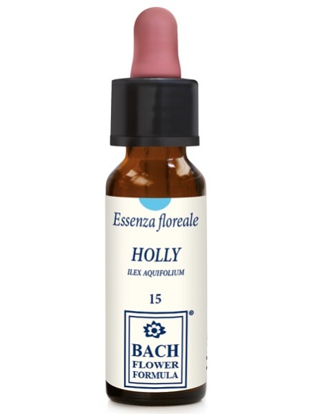 HOLLY ORIGINAL 10ML GTT EBV