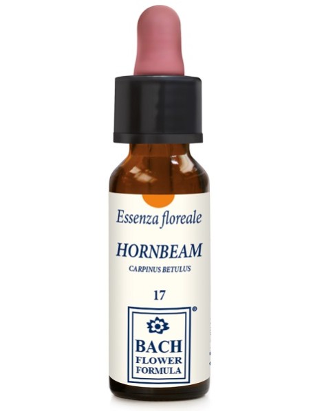 HORNBEAM BACH GTT 10ML (BACEV17)