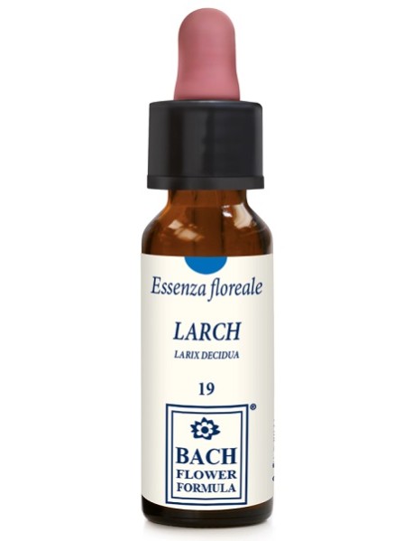 LARCH ORIGINAL 10ML GTT EBV