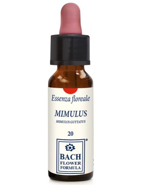 MIMULUS ORIGINAL 10ML GTT EBV