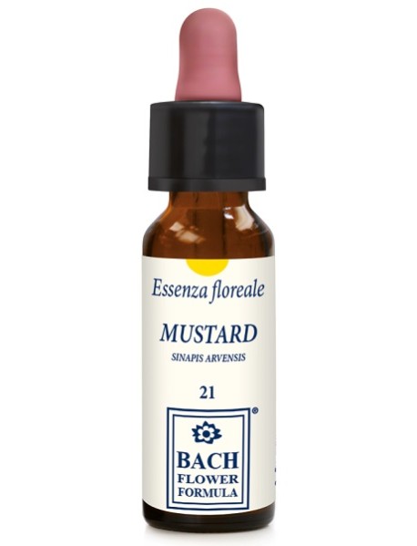 MUSTARD ORIGINAL 10ML GTT