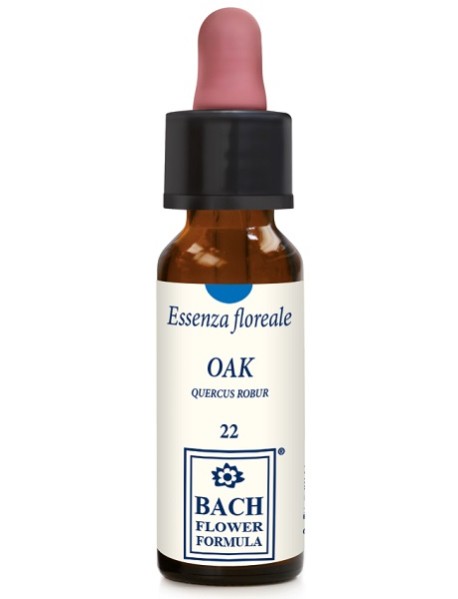 OAK ORIGINAL 10ML GTT EBV