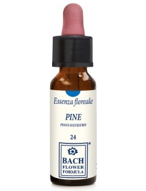 PINE ORIGINAL GTT 10ML (BACH) ER