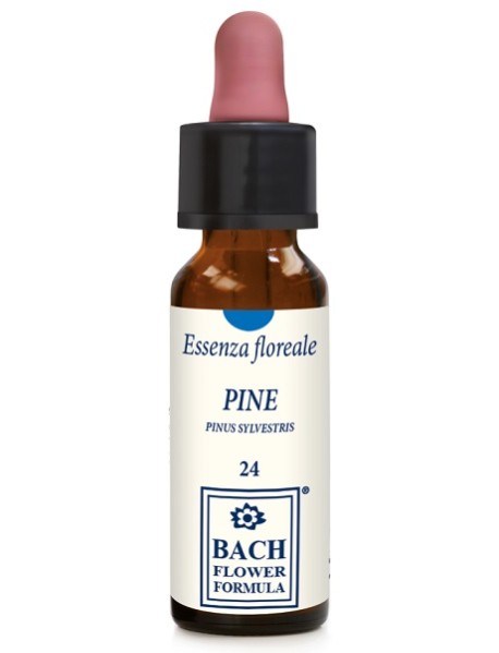 PINE ORIGINAL GTT 10ML (BACH) ER