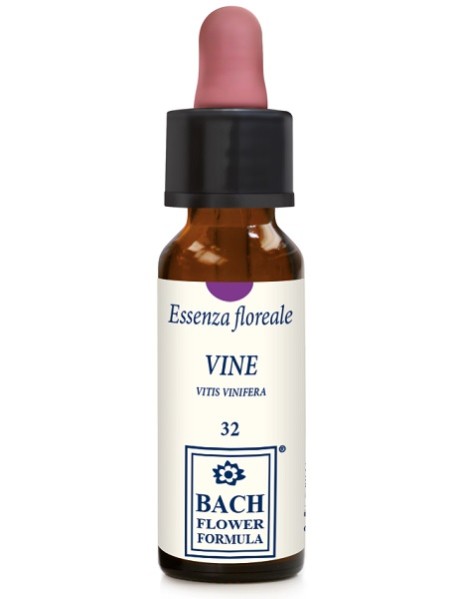 VINE ORIGINAL 10ML GTT